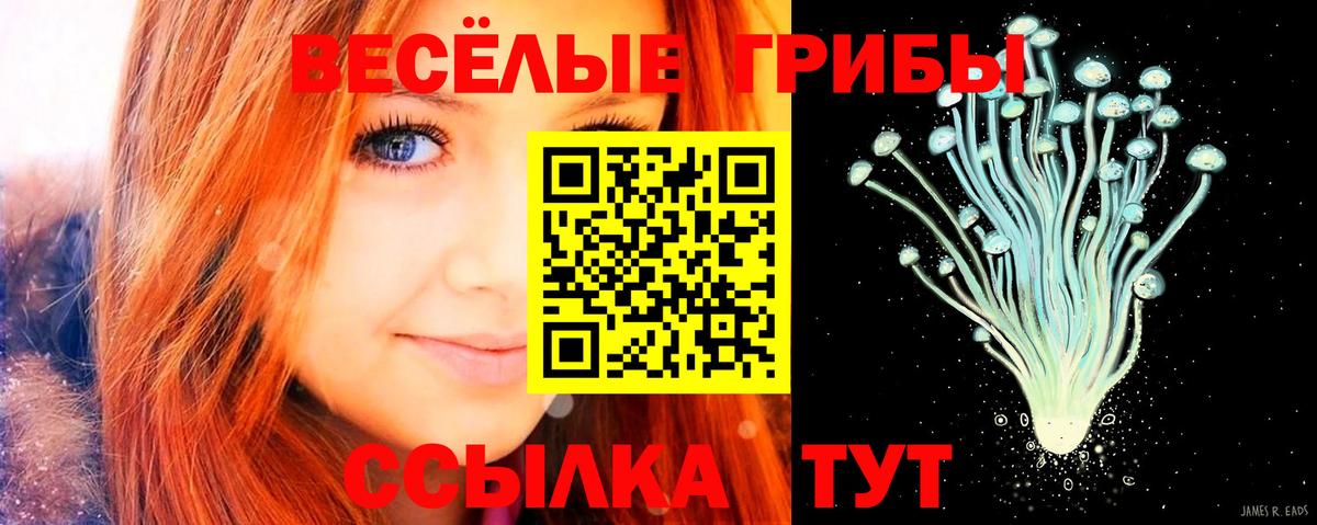 Псилоцибиновые грибы Psilocybe  Вход с VPN  Галлюциногенные грибы ЛСД  Нижний Новгород 